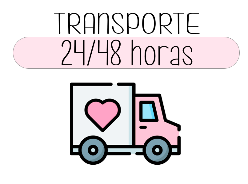 Transporte